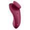 Sexy Secret Panty Vibrator Wine Red Clave 60