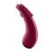 Sexy Secret Panty Vibrator Wine Red Clave 60