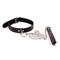 Collar with Metal Leash Black/Red