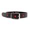 Collar with Metal Leash Black/Red