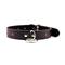 Neck Collar Black