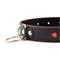 Collar with Metal Leash Black/Red