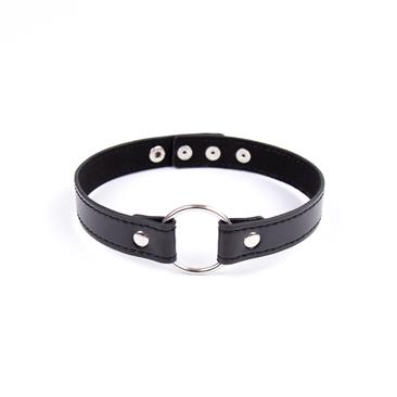 Collar with Hoop Adjustable 38,2 cm Black