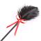 Ostrich Feather Tickler and Paddle Combo with Bowk