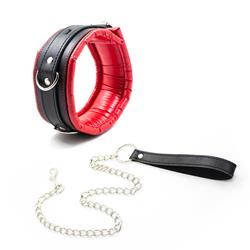 Collar With Leash Red Black