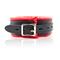 Collar With Metal Leash Padded Interior Red/Black