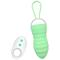 Brightgreen Wireless Vibrating Egg USB Silicone