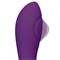 No. Nine G-Spot Flap Pulsation Vibrator USB Silico