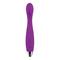 No. Ten G-Spot Flexible Vibrator USB Silicone Purp