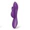 No. Eleven G-Spot Flap & Rabbit Vibrator USB Silic