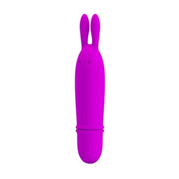 Mini Vibe Boyce Purple