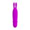10 function vibration, bullet  by one aaa, with si