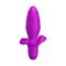 Butt Plug with Vibration Fitch Purple