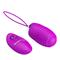 Pretty Love Jessica Vibrating Egg Silicone Purple