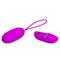 Pretty Love Joanna Vibrating Egg USB Purple