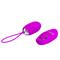 Vibrating Egg Joanna USB Purple