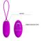 Pretty Love Joanna Vibrating Egg USB Purple