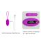 Pretty Love Joanna Vibrating Egg USB Purple