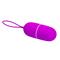 Vibrating Egg Arvin Purple