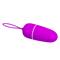 Pretty Love Vibrating Egg Bradley Purple