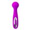 Mini Massager Wade Purple