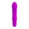 Pretty Love Justin Vibrator Purple