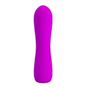 Sstimulator Beau USB Purple