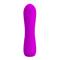 Pretty Love Beau Vibrator USB Silicone Purple
