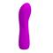 Pretty Love Adam Vibrator USB Silicone Purple