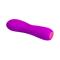 Pretty Love Adam Vibrator USB Silicone Purple