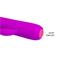 Pretty Love Omar Vibrator USB Silicone Purple