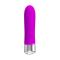 Vibe Sampson Silicone Purple