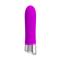 Vibe Sampson Silicone Purple