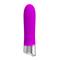 Vibe Sebastian Silicone Purple