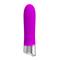 Pretty Love Sebastian Vibrator Silicone Purple