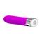 Vibe Sebastian Silicone Purple