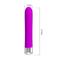 Pretty Love Randolph Vibrator Silicone Purple
