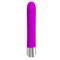 Pretty Love Reginald Vibrator Silicone Purple