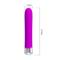 Pretty Love Reginald Vibrator Silicone Purple