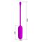 Pretty Love Joyce Egg USB Silicone Purple