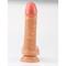 Dildo Swing 20 x 4.1 cm Flesh