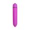 Bullet Vibrator 10 Modes Purple