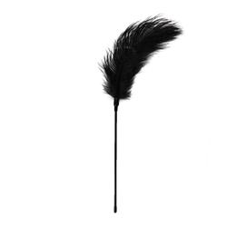 EasyToys Black Feather Tickler