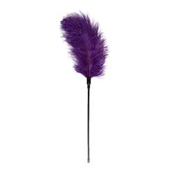 EasyToys Purple Feather Tickler