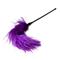 EasyToys Purple Feather Tickler