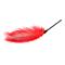 EasyToys Red Feather Tickler