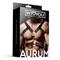 Aurum Light Chest Bondage Harness for Men