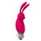 Hopye Pink Rabbit Bullet
