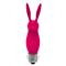 Hopye Rabbit Vibrating Bullet Silicone Pink