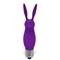 Hopye Purple Rabbit Bullet